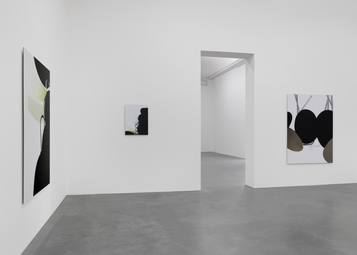 Steffi Schöne @ Kunstraum Alexander Bürkle exhibition view “Unbestimmtheitsstellen – zur Genese des photographischen Bildes”, 22th April – 23rd September 2012, Kunstraum Alexander Bürkle, Freiburg/Breisgau (photos: Bernhard Strauss)